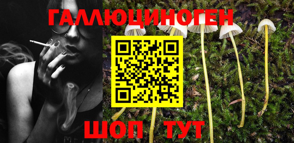 Галлюциногенные грибы Psilocybe  Вход с VPN  Ульяновск 