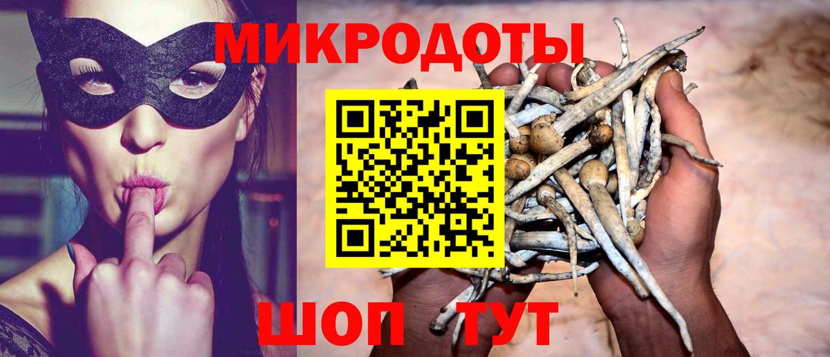 Галлюциногенные грибы прущие грибы Ульяновск